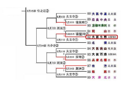 2014日本選手権関西大会ベスト8への道のり